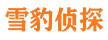 镇巴外遇调查取证